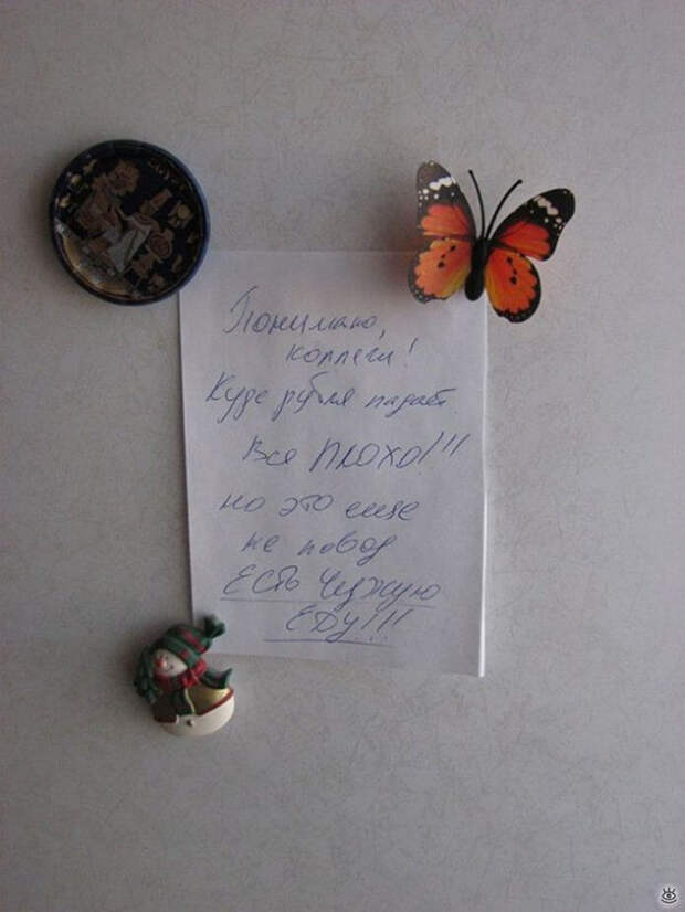 Круто, когда домашние с юмором Круто, когда домашние с юмором