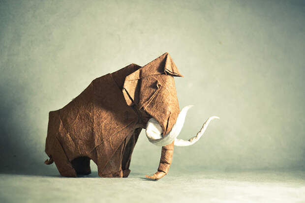 origami-paper-art-mammoth-artur-biernacki__700
