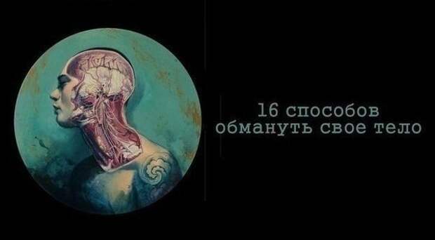 16 способов обмануть свое тело 16 способов обмануть свое тело