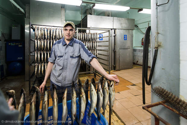 Рыбный завод в Магадане