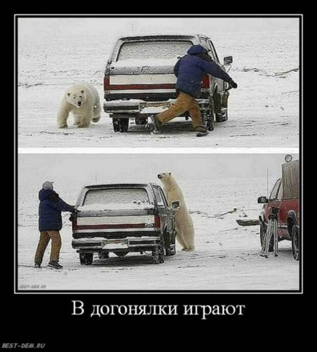 Демотиваторы автоприколы.