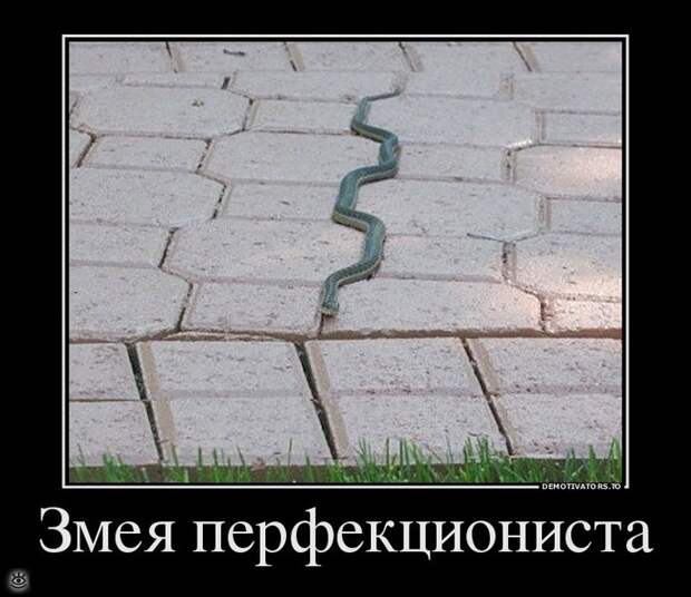 Эфемерные демотиваторы 24