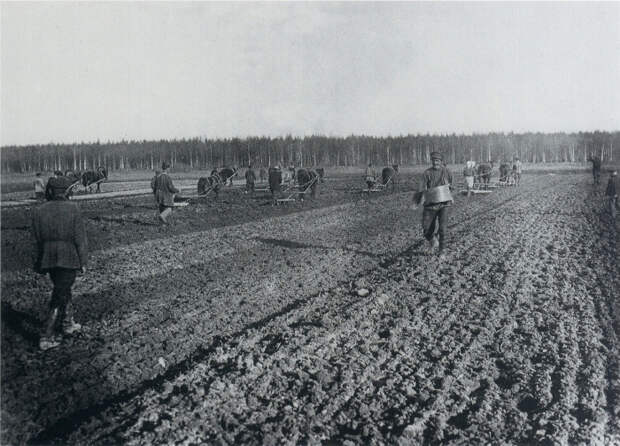 Крестьяне засевают поле. 1900-е.