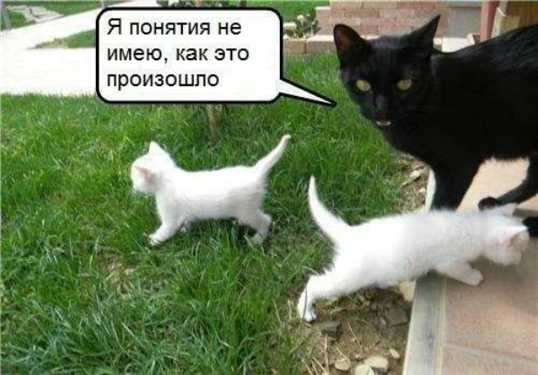 3773879_original (600x418, 234Kb)