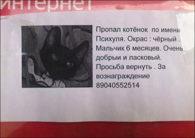 Прикольные надписи и объявления надписи, объявления, прикол, юмор