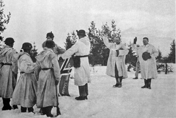 Европейские крестоносцы Гитлера под Ленинградом. Часть первая