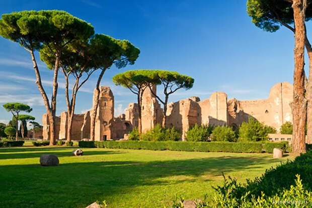 clip_image009 clip_image009