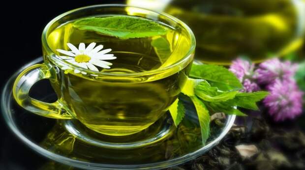 Польза зеленого чая в летнюю жару