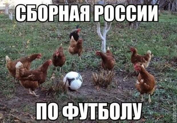Смешные картинки с подписями катинки, прикол, юмор