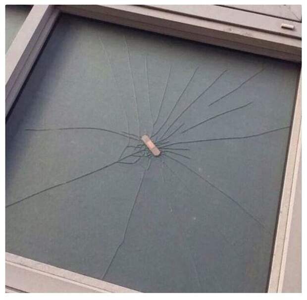 Прикольные картинки. Вечерний выпуск (57 фото)