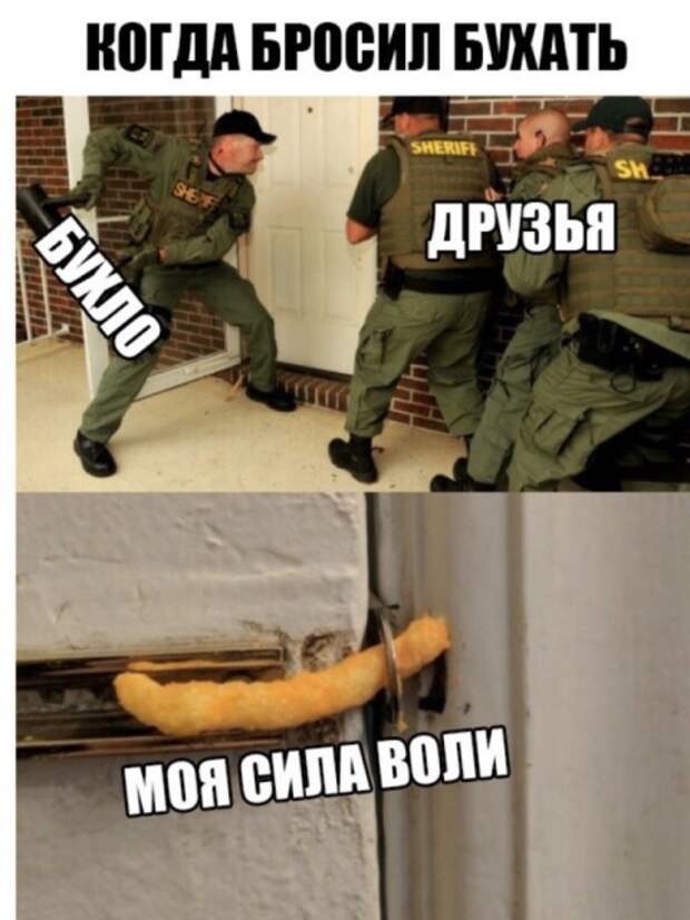 Шутки об алкоголе, которые помогут пережить неделю Шутки об алкоголе, которые помогут пережить неделю