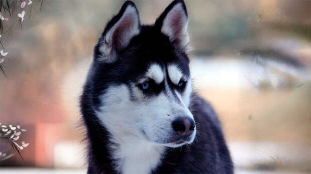 источник фото: yt3.googleusercontent.com