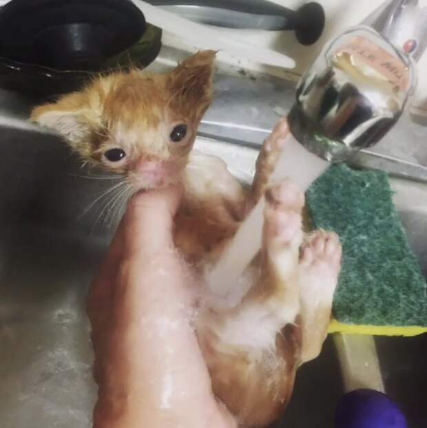 http://top-funnyy.ru/wp-content/uploads/2018/05/original-1-65.jpg