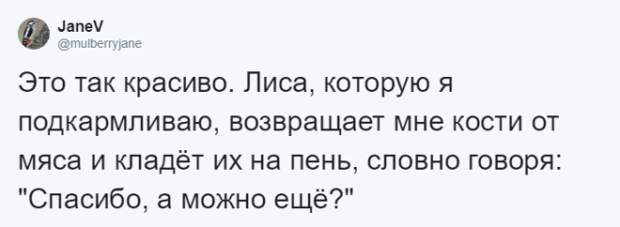 Lужчина четыре года кормил воронью семью и те принесли ему таинственный дар