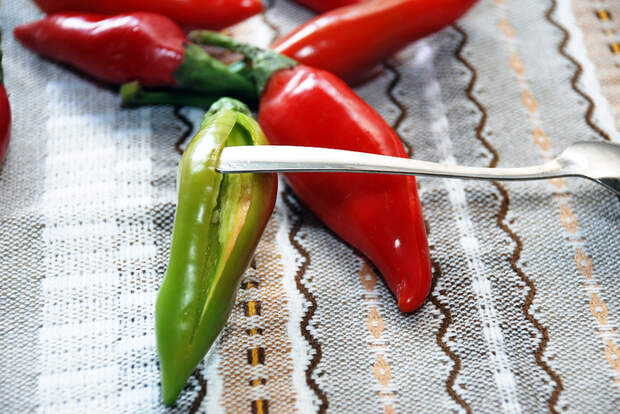 pepper-and-garlic_05 (700x468, 513Kb)