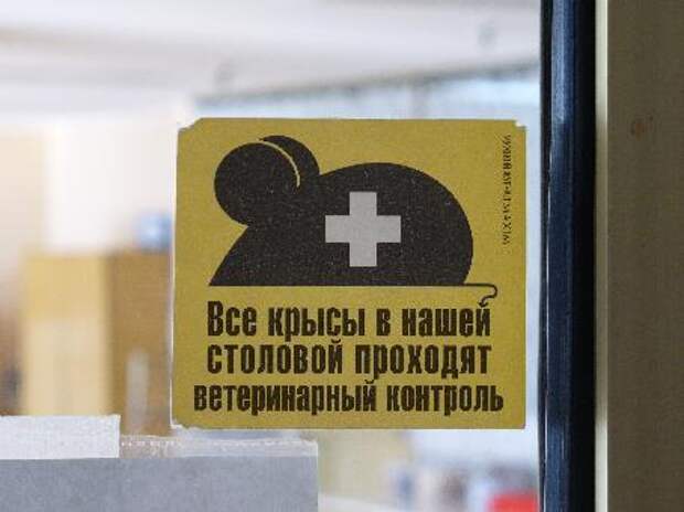 Прикольные фотки (35 фото)