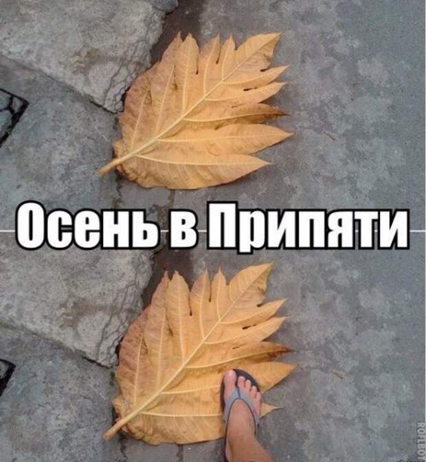 Прикольные фотомемы (15 фото)