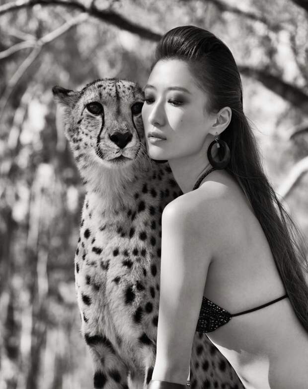 Потрясающие портреты азиатских моделей с дикими животными!