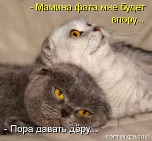 43a141353338f74cb6fd024bcf7_prev