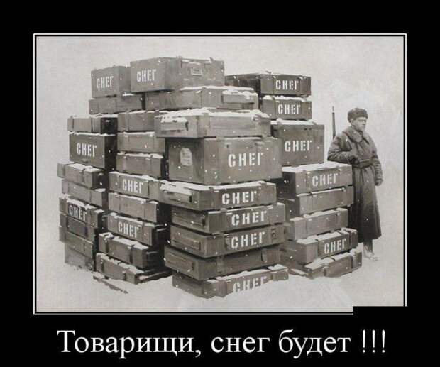 Демотиваторы бревно, демотиваторы, юмор