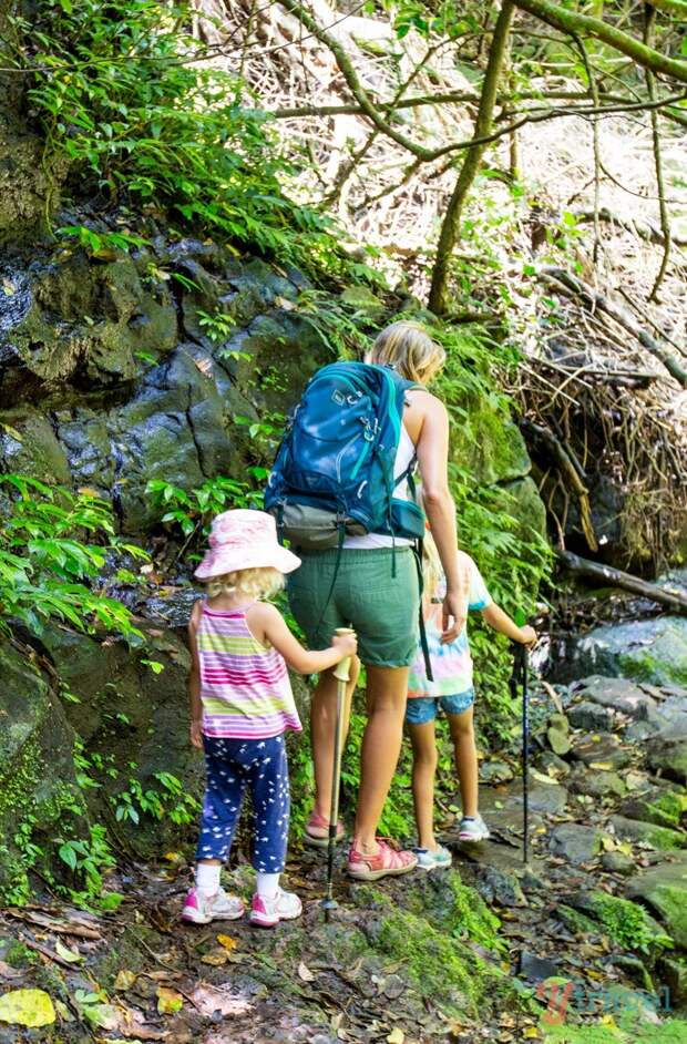 Exploring the Binna Burra Mountains in Lamington National Park, Gold Coast Hinterland, Australia