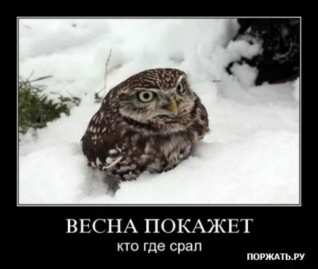 демотиваторы картинки