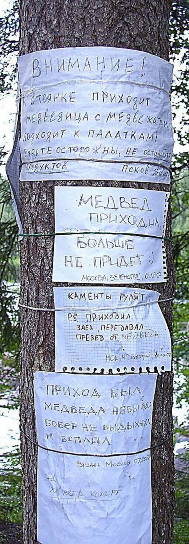 Давайте улыбаться вместе :) (22повода)