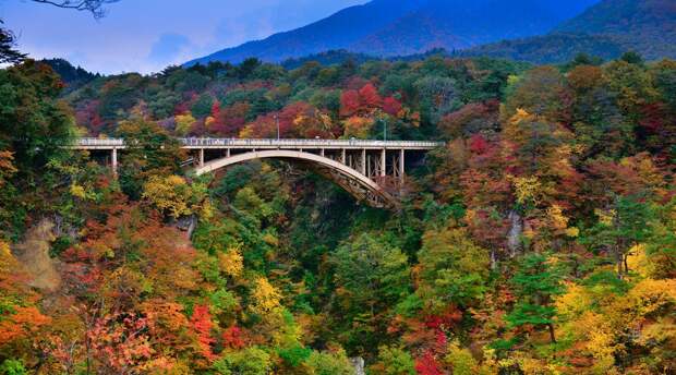 Осень в Японии 2015 2015 осень япония, алая осень японии, дегустация осени в японии, красные клены японии, момидзи, момидзи 2015, момидзи-гари, осень в японии, осень по-японски, осень-японии, тур в японию, японки, японская осень 2015