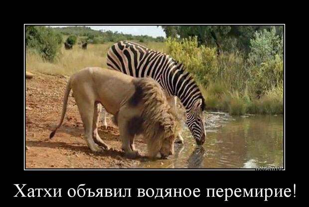 Подборка демотиваторов демотиватор, юмор
