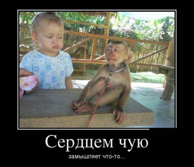 Подборка демотиваторов демотиватор, юмор