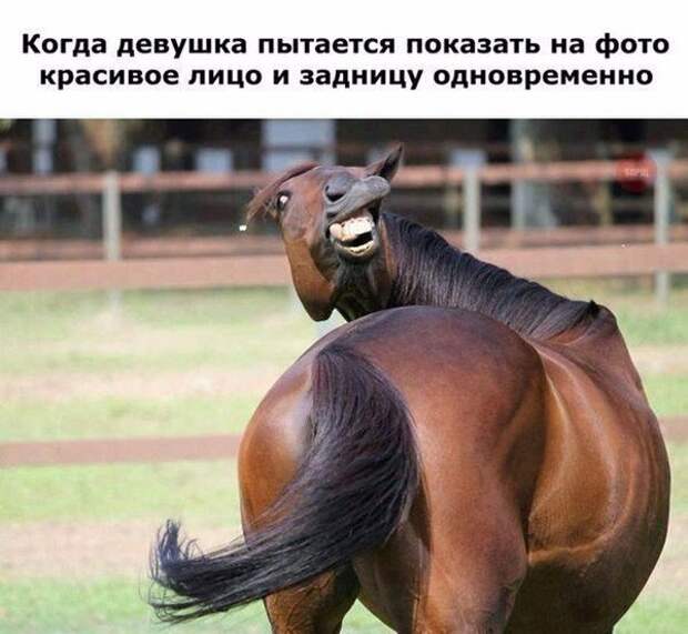Смешные картинки с надписям весёлое, смешное, смешные картинки, юмор