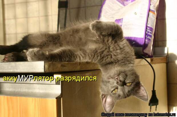 Котоматрица: аккуМУРлятор разрядился МУР