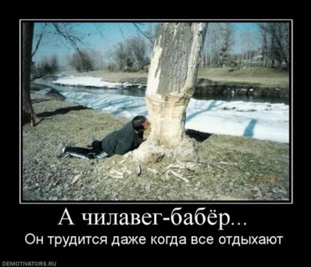 Смешные демы за неделю.