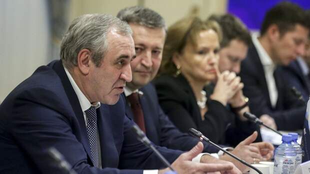 Неверов выступил за усиление роли парламента