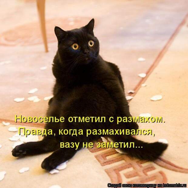 Мысли вслух :)