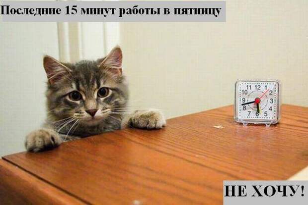 Мысли :) (50мыслей)
