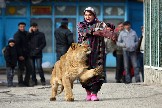 Лучшие снимки Reuters в 2011 году, часть 1 10164 Лучшие снимки Reuters 2011 (часть 1)