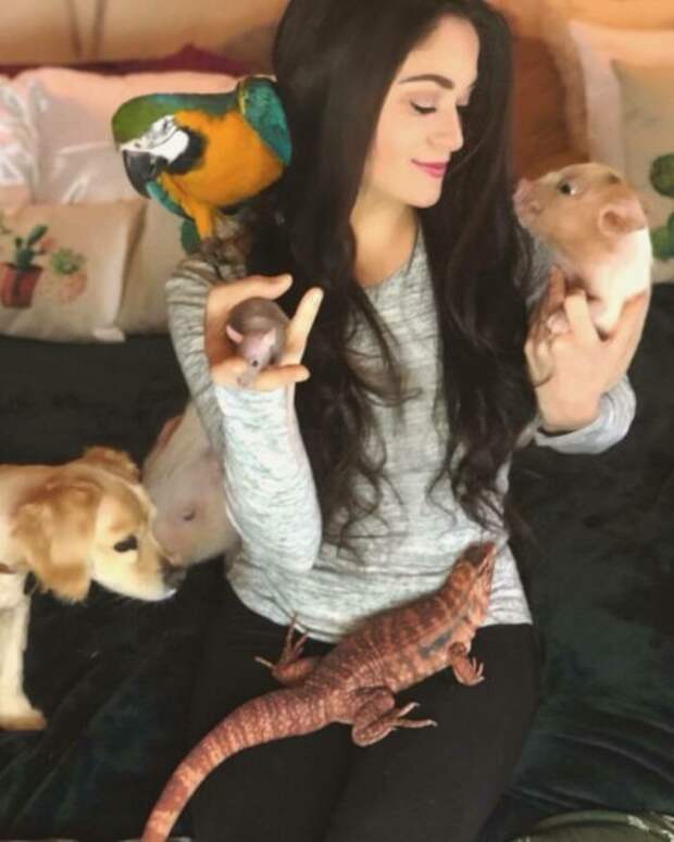 Друзья