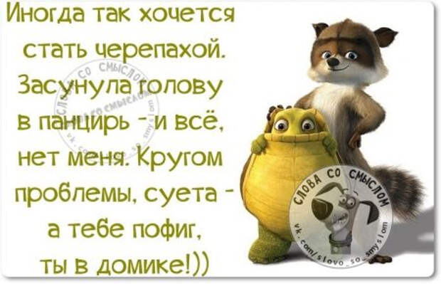 1439401019_qtroawwk38g (450x290, 120Kb)