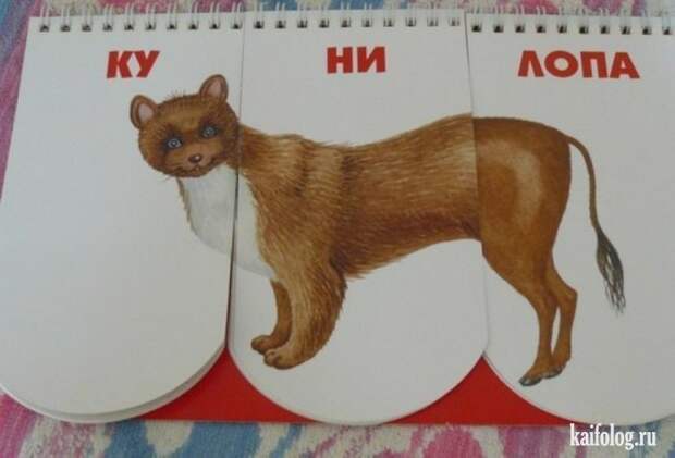 Фото приколы про Россию. Подборка - 270 (85 фото)