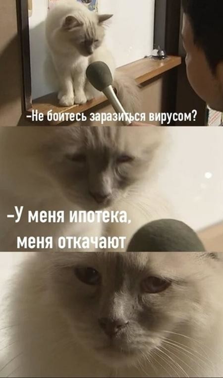 Приколы про ипотеку