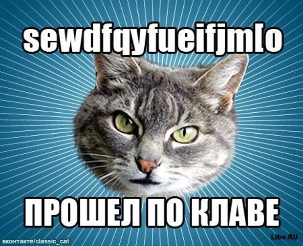 Мем: Типичный Кот