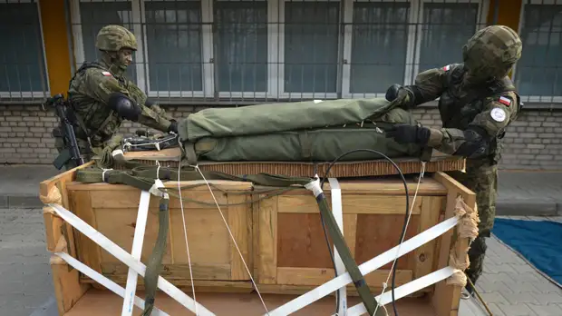 Политолог Светов объяснил решение Польши передать Украине оборонительное вооружение