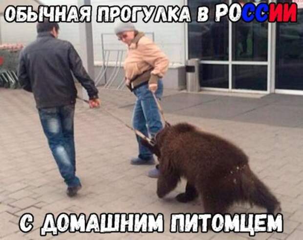 Свежая порция прикольных фотомемов (21 шт)