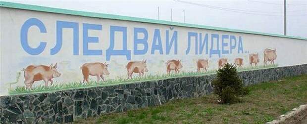 Прикольные надписи и объявления маразм, надпись, юмор