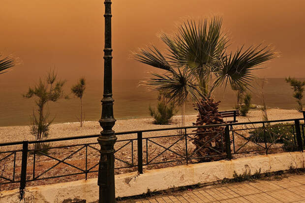 SHOT: российские туристы бегут с пляжей Египта из-за сильнейшей песчаной бури