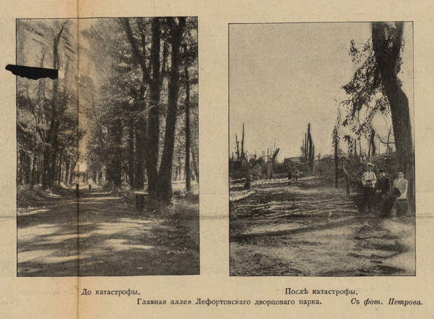 111209 Лефортовский дворцовый парк до и после урагана Петров.jpg