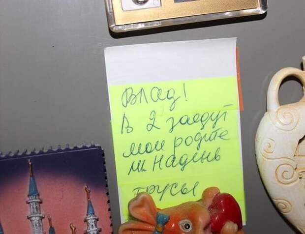 Круто, когда домашние с юмором Круто, когда домашние с юмором