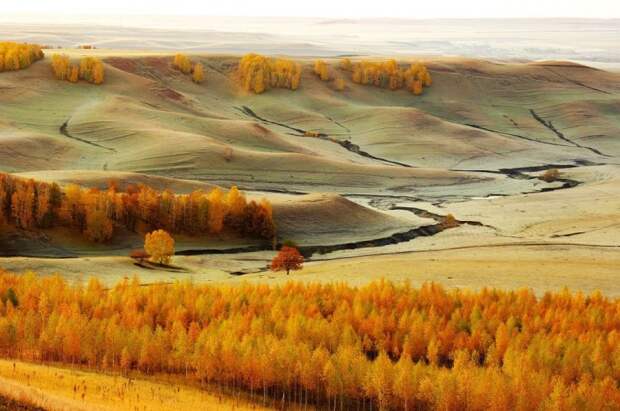 лучшие фото National Geographic 2015 года