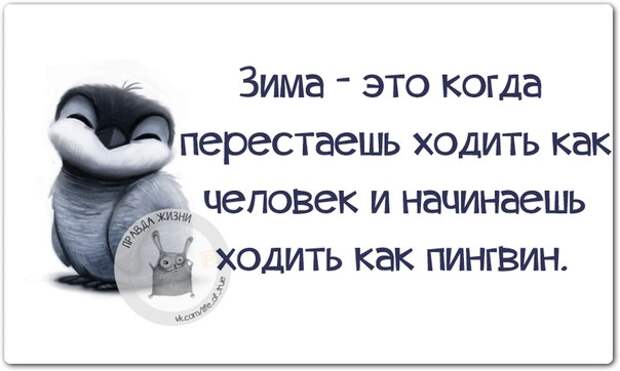 Зима - это когда перестаешь ходить как человек и начинаешь ходить как пингвин